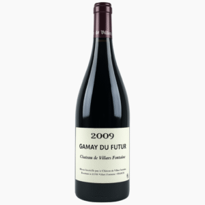 Villars Fontaine Gamay du Futur 2009