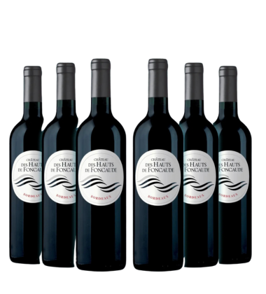 Château des Hauts de Foncaude