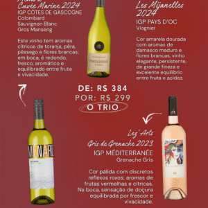 Kit Verão - Ménard Cuvée Marine / Fontarèche Viognier / Lez'Arts