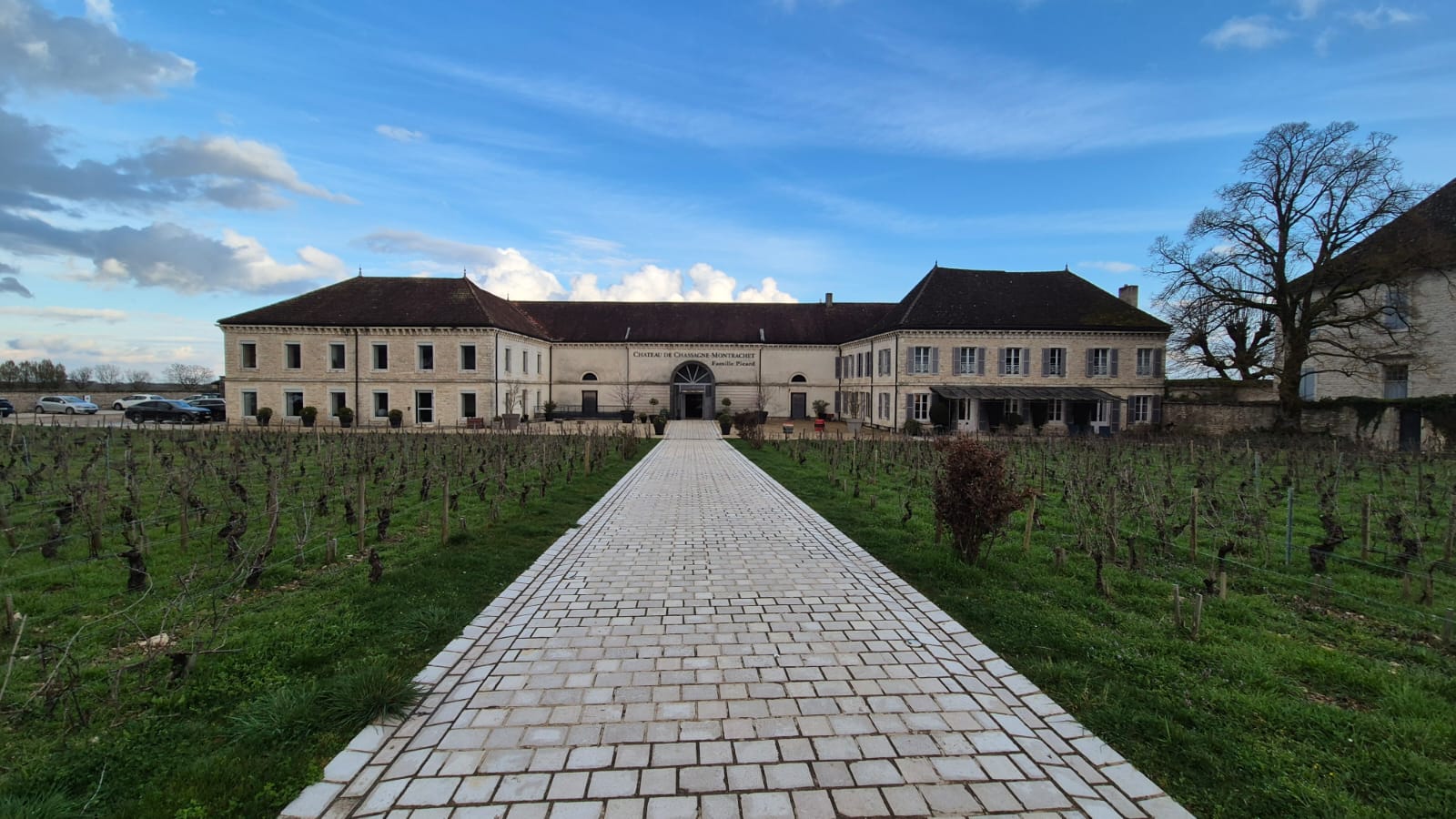 Barricas de carvalho em adega de Bordeaux para envelhecimento de vinho branco