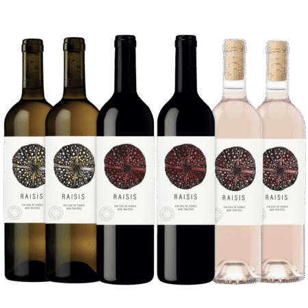 Garrafa de Raisis - Vinhos Orgânico - Kit com 6 - Empório Mundo